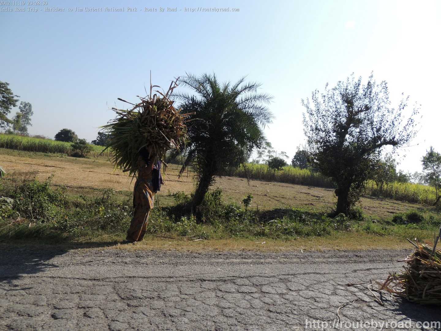 India Road Trip - Haridwar to Jim Corbett National Park - Route By Road - http://routebyroad.com