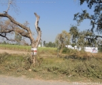 India Road Trip - Haridwar to Jim Corbett National Park - Route By Road - http://routebyroad.com