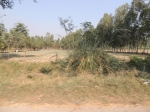 India Road Trip - Jim Corbett National Park [Ramnagar] to Moradabad to Aligargh to Agra - Route By Road - http://routebyroad.com