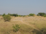 India Road Trip - Lothal - Route By Road - http://routebyroad.com