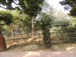 India Road Trip - Stay at Agra - Agra Fort - Taj Mahal - Route By Road - http://routebyroad.com