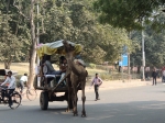 India Road Trip - Stay at Agra - Agra Fort - Taj Mahal - Route By Road - http://routebyroad.com