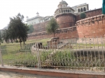 India Road Trip - Stay at Agra - Agra Fort - Taj Mahal - Route By Road - http://routebyroad.com