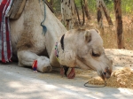 India Road Trip - Stay at Agra - Agra Fort - Taj Mahal - Route By Road - http://routebyroad.com