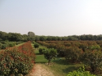 India Road Trip - Stay at Agra - Agra Fort - Taj Mahal - Route By Road - http://routebyroad.com