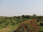 India Road Trip - Stay at Agra - Agra Fort - Taj Mahal - Route By Road - http://routebyroad.com