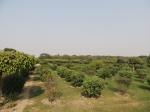 India Road Trip - Stay at Agra - Agra Fort - Taj Mahal - Route By Road - http://routebyroad.com