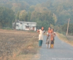 India Road Trip - Stay at Jim Corbett National Park - Route By Road - http://routebyroad.com