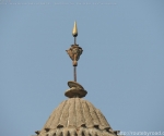 India Road Trip - Ancient Khajuraho Temples and Renah Falls - Renah Volcanic Zone - Route By Road - http://routebyroad.com