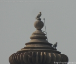 India Road Trip - Ancient Khajuraho Temples and Renah Falls - Renah Volcanic Zone - Route By Road - http://routebyroad.com