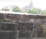 India Road Trip - Ancient Khajuraho Temples and Renah Falls - Renah Volcanic Zone - Route By Road - http://routebyroad.com
