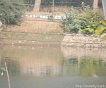 India Road Trip - Ancient Khajuraho Temples and Renah Falls - Renah Volcanic Zone - Route By Road - http://routebyroad.com